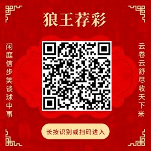 狼王荐彩公推方案四场命中三场